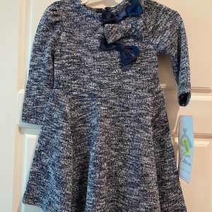 Rare Edition Winter Dress